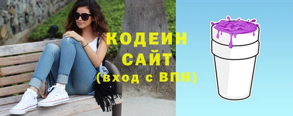 дурь Няндома