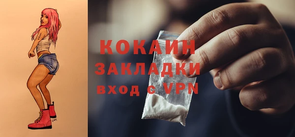 дурь Няндома