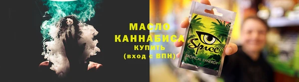дурь Няндома