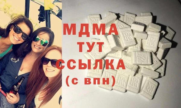 дурь Няндома