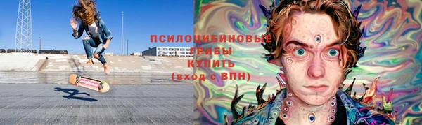 дурь Няндома